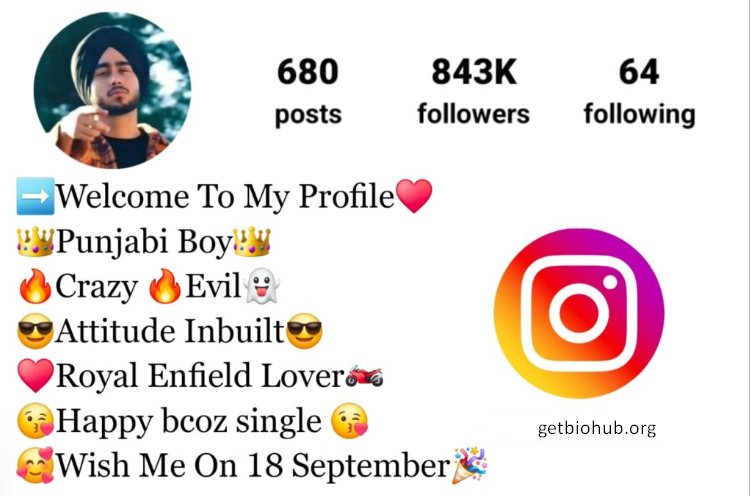 800+ Best Instagram Bio Ideas in Punjabi for Boys & Girls (2024)