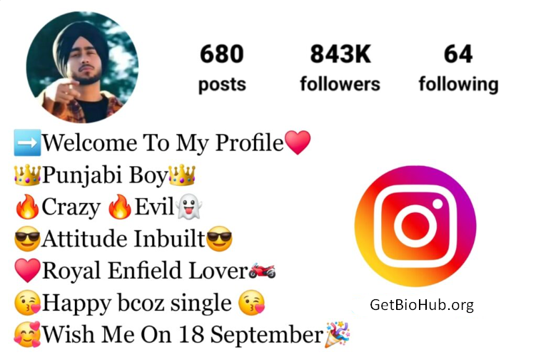 800+ Best Punjabi Instagram Bios for Boys & Girls in 2024