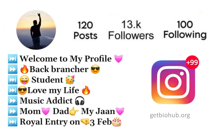 270+ Creative Instagram Bio Ideas for Students | Perfect Instagram Bios for School Boys