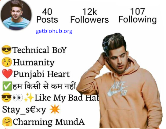 Punjabi Instagram Bio Ideas for Boys & Girls