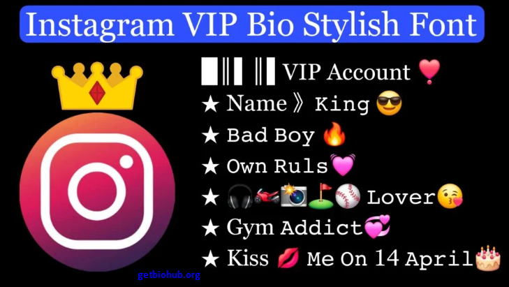 200+ Best Instagram VIP Bio Stylish Fonts for 2025