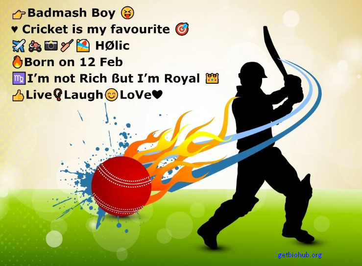 Instagram Bio Ideas for Cricket Lovers