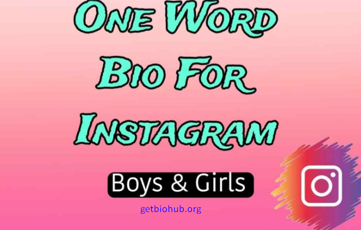 Top 130+ Creative One-Word Instagram Bios for 2025