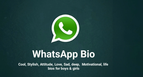 Best WhatsApp Bio for Boys in 2025